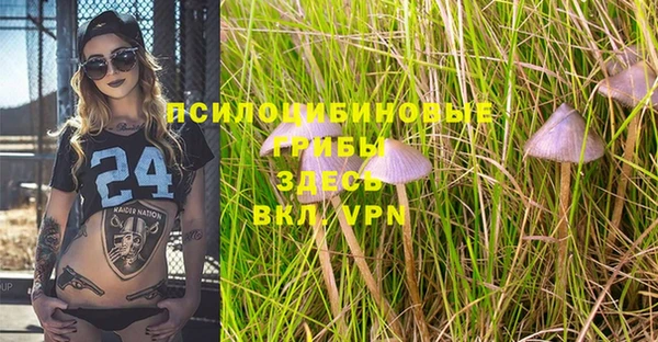 винт Алексин