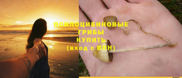 ALPHA PVP Алзамай