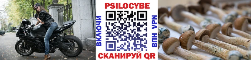 Галлюциногенные грибы мицелий  купить закладку  Рыбное 
